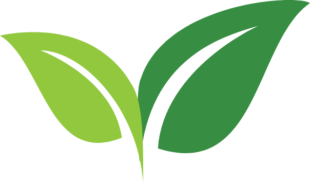 Green leaf